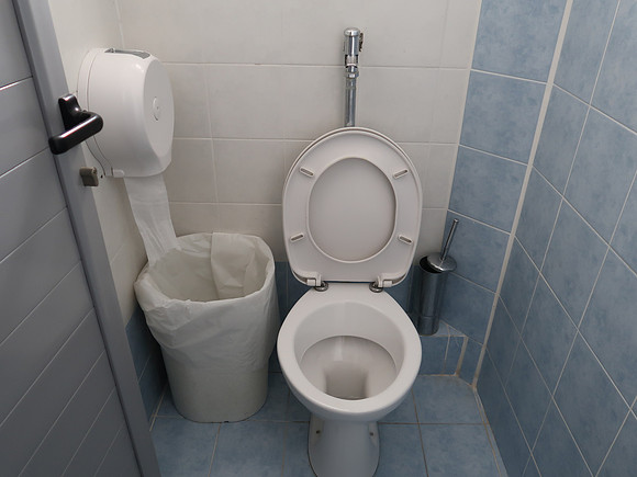 IMG_7940-toilet