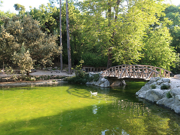 IMG_7704-national-garden-pond