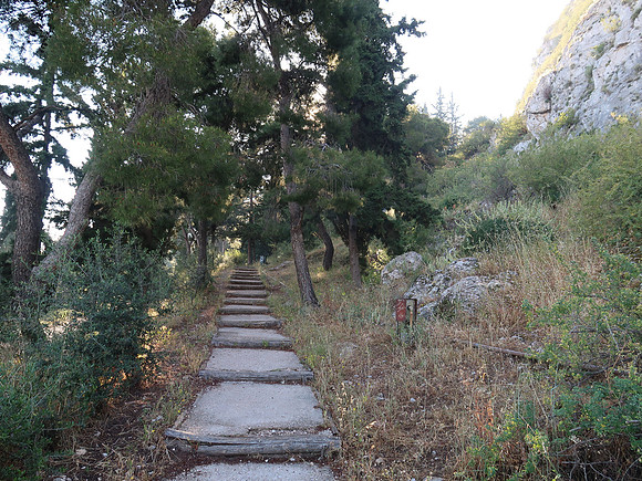IMG_8057-mt-lycabettus-walk
