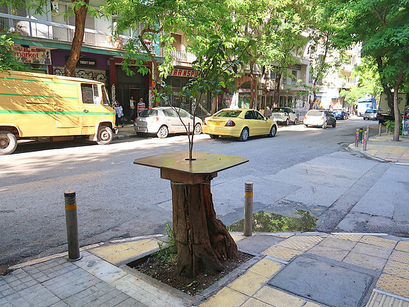 IMG_8088-tree-table