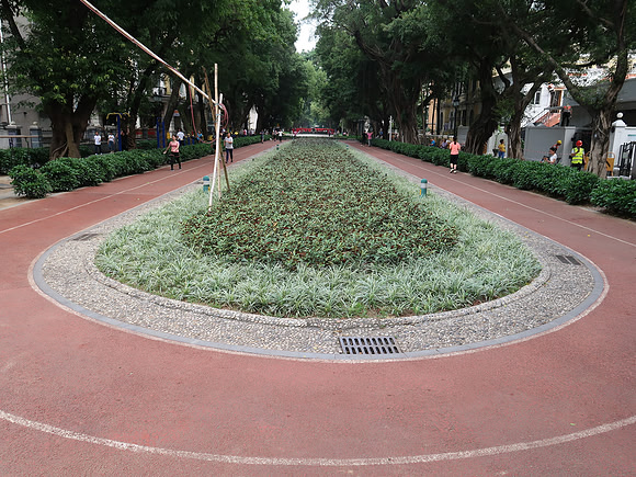 IMG_8388-running-track