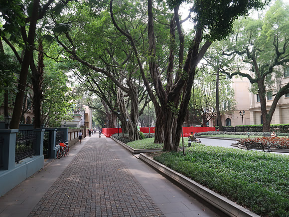 IMG_8399-green-walkway