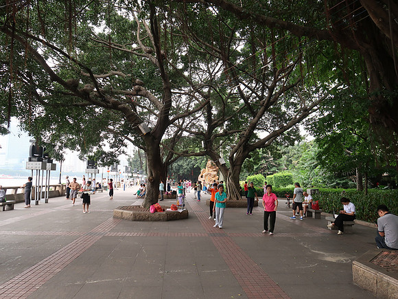 IMG_8414-sha-mian-park