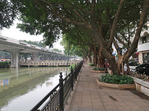 IMG_8587-canal-walk