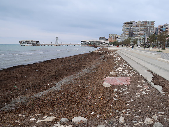 IMG_3672-beach
