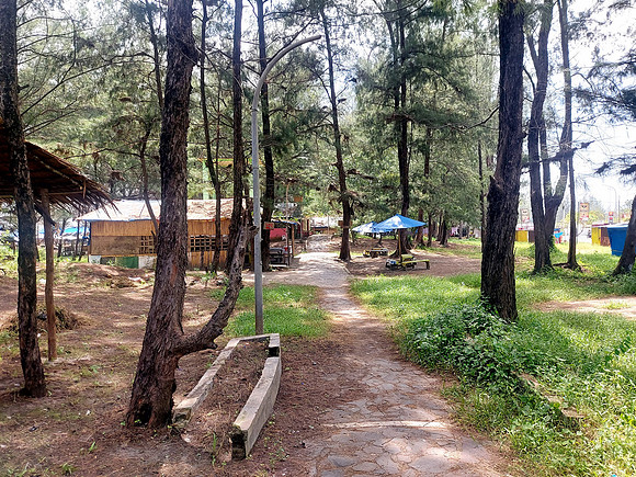 20240425_134653-beach-path