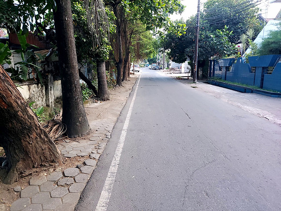 20240515_063011-tree-lined-street