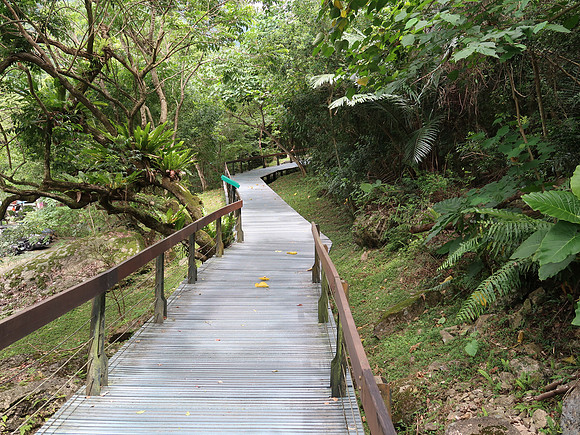 IMG_8885-dekalun-trail