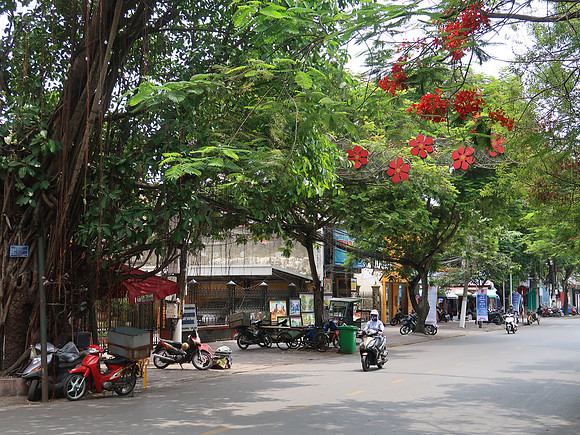 IMG_9352-tran-phu