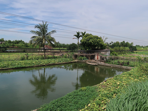 IMG_9467-haiphong-hanoi-countryside