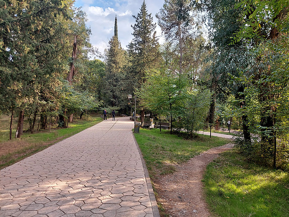 20211021_154921-grand-park-desire-path