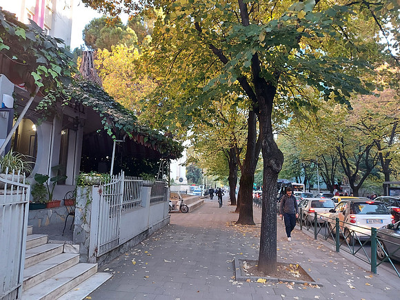 20211029_165735-autumn
