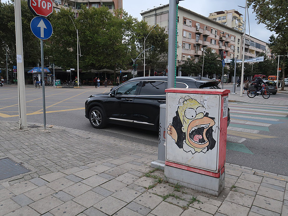 IMG_3300-homer-simpson