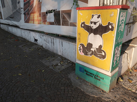 IMG_3539-hoverpanda