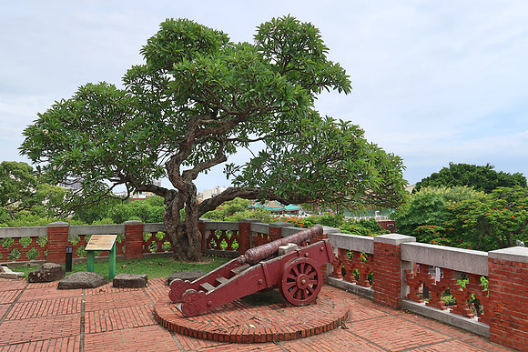 IMG_0293-500-catty-cannon