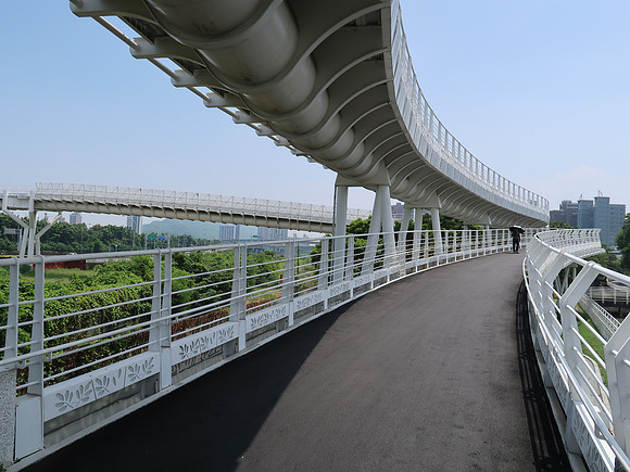 IMG_0080-pedestrian-overpass