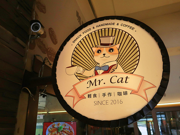 IMG_0163-mr-cat