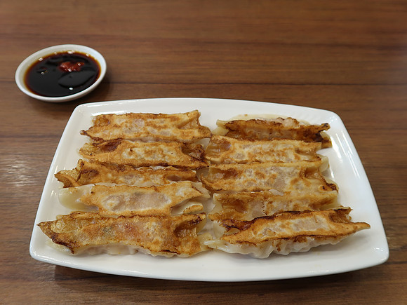 IMG_9943-fried-dumplings