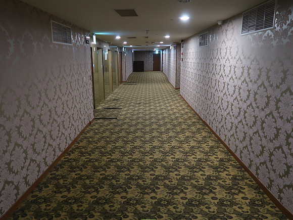 IMG_9950-e-hotel-hallway