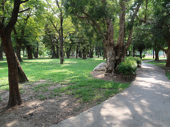 IMG_9962-central-park