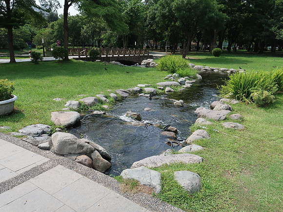IMG_9963-central-park-stream