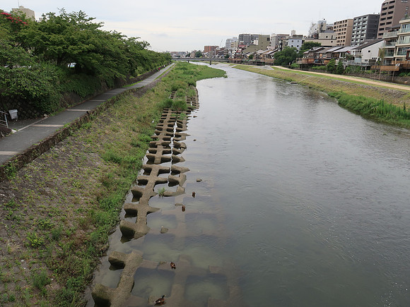 IMG_0441-river-blocks