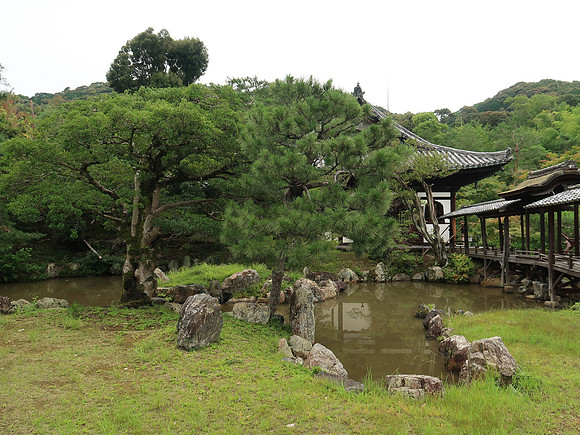 IMG_0498-kodai-ji-temple-garden