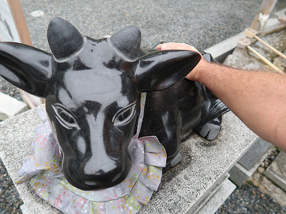 IMG_0503-temmangu-ox