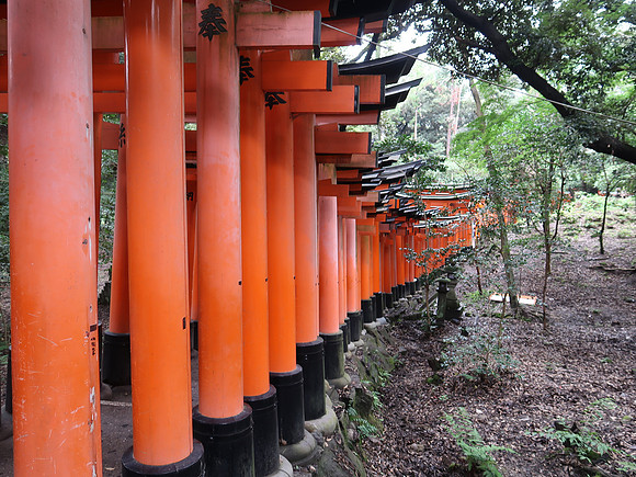 IMG_0556-torii-gates-outside