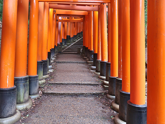 IMG_0571-empty-torii-gates