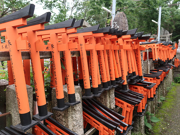 IMG_0578-mini-torii-gates