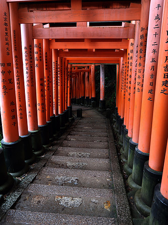 IMG_0582-torii-gates-walk