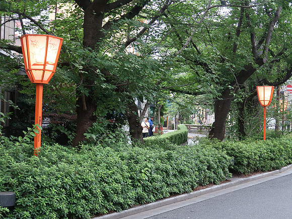 IMG_0633-takase-river-lights