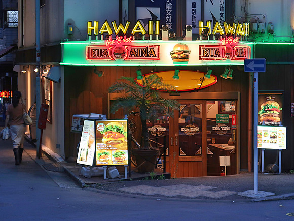 IMG_0955-hawaii-jua-aina
