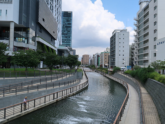 IMG_1000-skytree-river