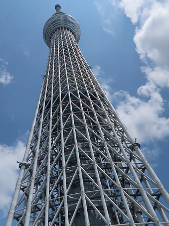 IMG_1003-skytree