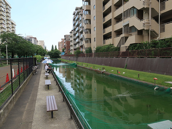 IMG_1012-oyokogawa-shinsui-koen-park-fish-pond