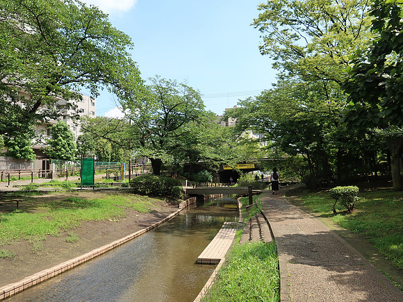 IMG_1024-pleasant-stream