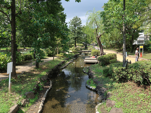 IMG_1037-landscaped-waterway