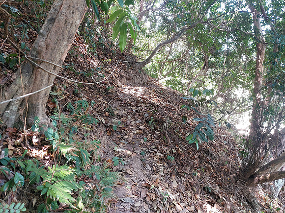 20220207_122729-rope-path-to-beach