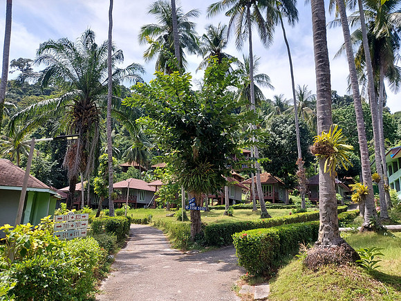 20220207_121331-koh-ngai-resort-garden