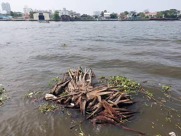 20230223_144129-river-vegetation