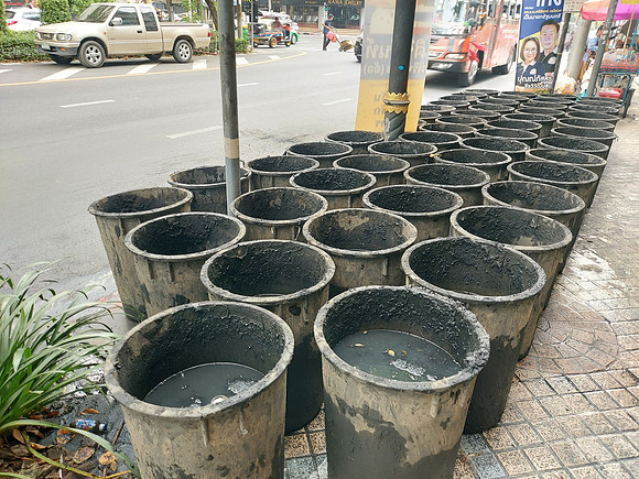 20230223_155614-muck-buckets