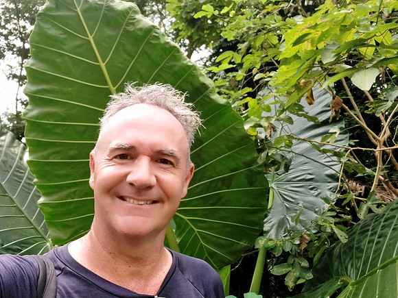 20240418_111613-big-leaf