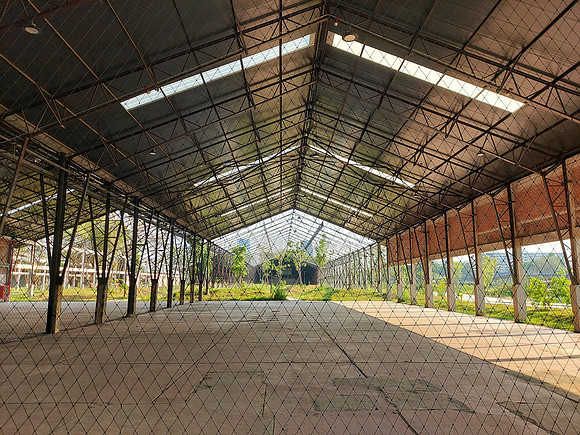 20230301_162516-tobacco-shed