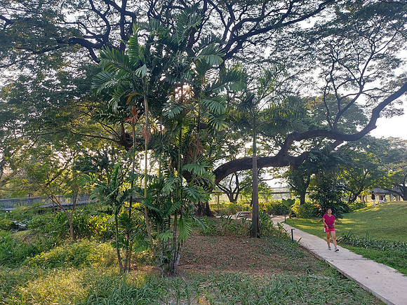 20230301_165019-park-path