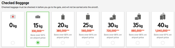 sgn-sin-checked-baggage