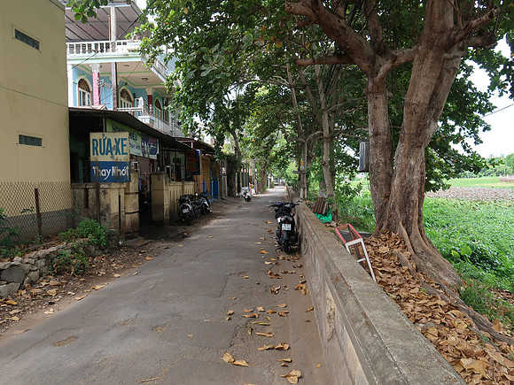 IMG_1504-tinh-tam