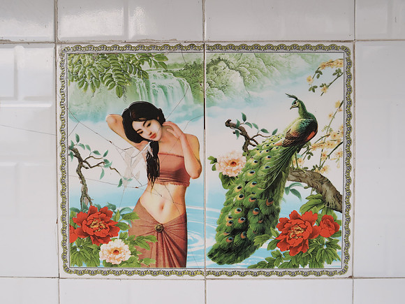 IMG_1612-lady-and-peacock-tiles