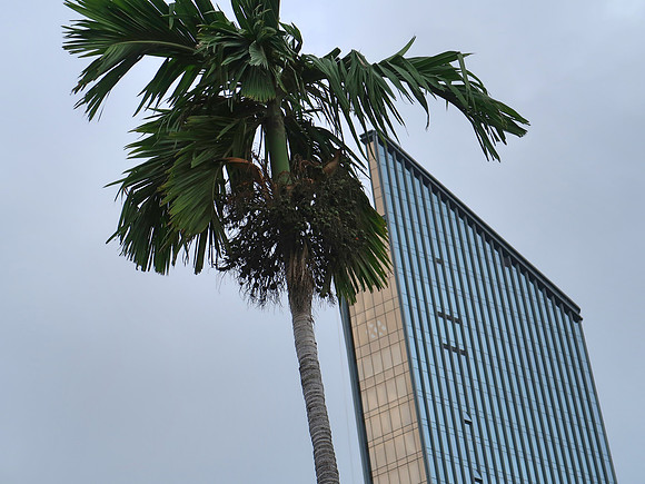 IMG_1634-vinpearl-hotel